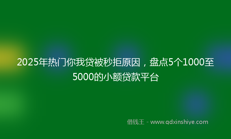 2025年热门你我贷被秒拒原因，盘点5个1000至5000的小额贷款平台