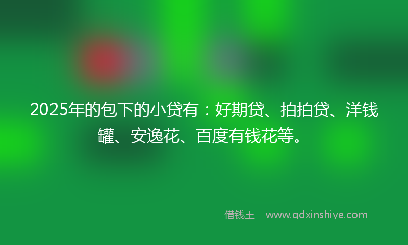 2025年的包下的小贷有：好期贷、拍拍贷、洋钱罐、安逸花、百度有钱花等。