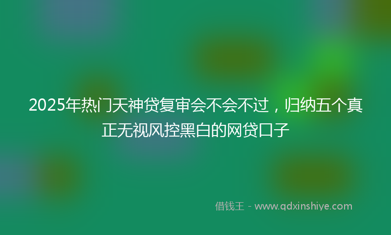 2025年热门天神贷复审会不会不过，归纳五个真正无视风控黑白的网贷口子