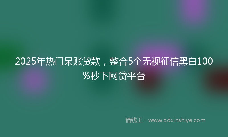 2025年热门呆账贷款，整合5个无视征信黑白100%秒下网贷平台