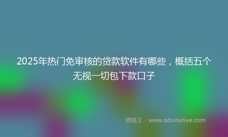 2025年热门免审核的贷款软件有哪些，概括五个无视一切包下款口子