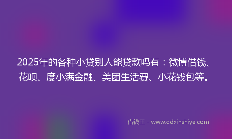 2025年的各种小贷别人能贷款吗有：微博借钱、花呗、度小满金融、美团生活费、小花钱包等。