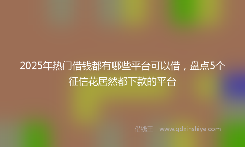 2025年热门借钱都有哪些平台可以借，盘点5个征信花居然都下款的平台