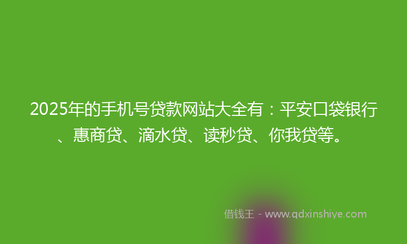 2025年的手机号贷款网站大全有：平安口袋银行、惠商贷、滴水贷、读秒贷、你我贷等。