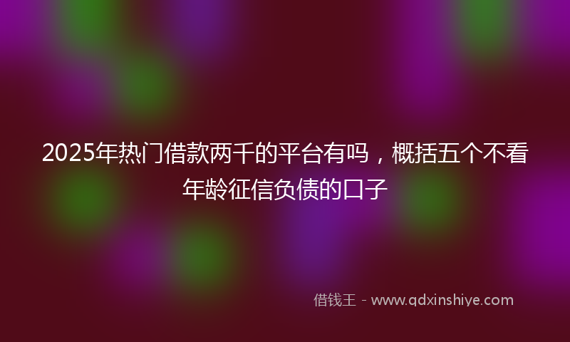 2025年热门借款两千的平台有吗，概括五个不看年龄征信负债的口子