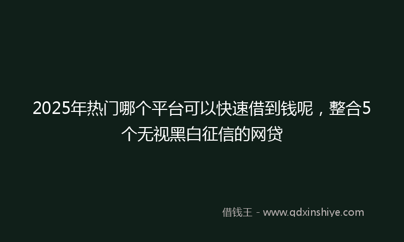 2025年热门哪个平台可以快速借到钱呢，整合5个无视黑白征信的网贷