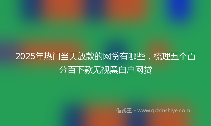 2025年热门当天放款的网贷有哪些，梳理五个百分百下款无视黑白户网贷