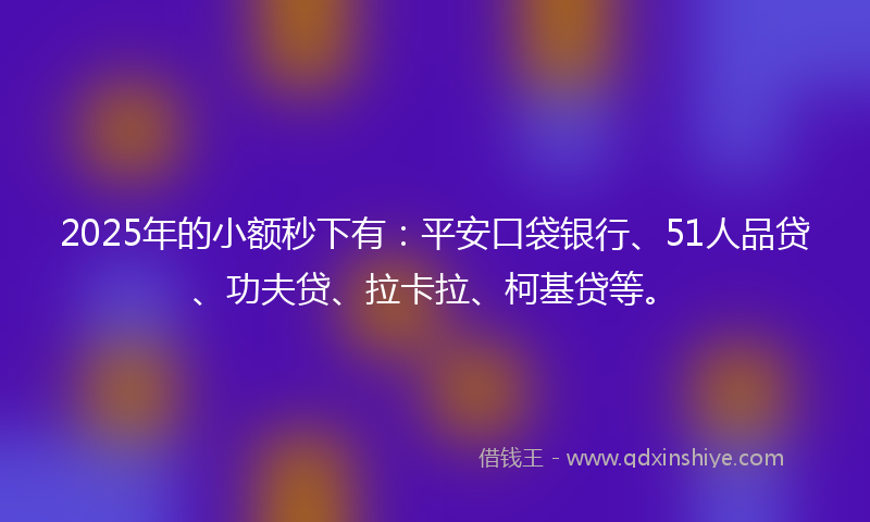 2025年的小额秒下有：平安口袋银行、51人品贷、功夫贷、拉卡拉、柯基贷等。