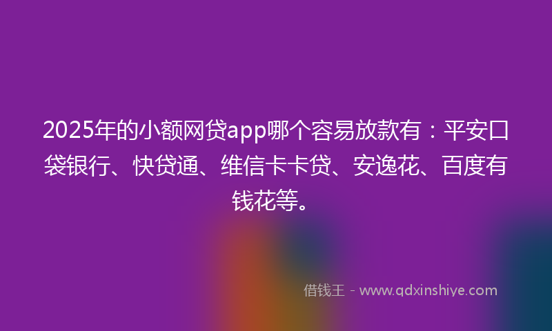 2025年的小额网贷app哪个容易放款有：平安口袋银行、快贷通、维信卡卡贷、安逸花、百度有钱花等。