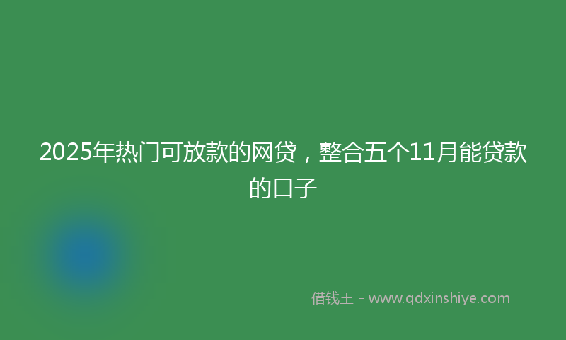 2025年热门可放款的网贷，整合五个11月能贷款的口子