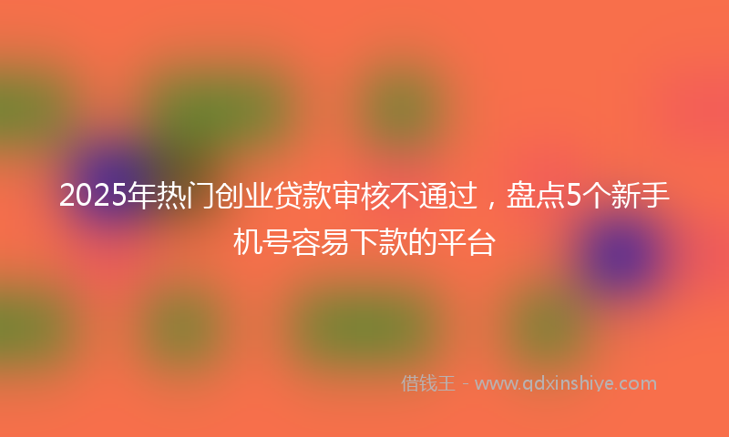 2025年热门创业贷款审核不通过，盘点5个新手机号容易下款的平台