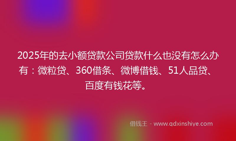 2025年的去小额贷款公司贷款什么也没有怎么办有：微粒贷、360借条、微博借钱、51人品贷、百度有钱花等。