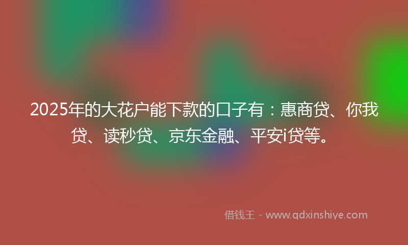 2025年的大花户能下款的口子有：惠商贷、你我贷、读秒贷、京东金融、平安i贷等。