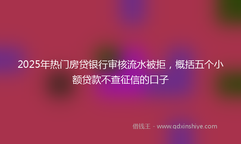 2025年热门房贷银行审核流水被拒，概括五个小额贷款不查征信的口子