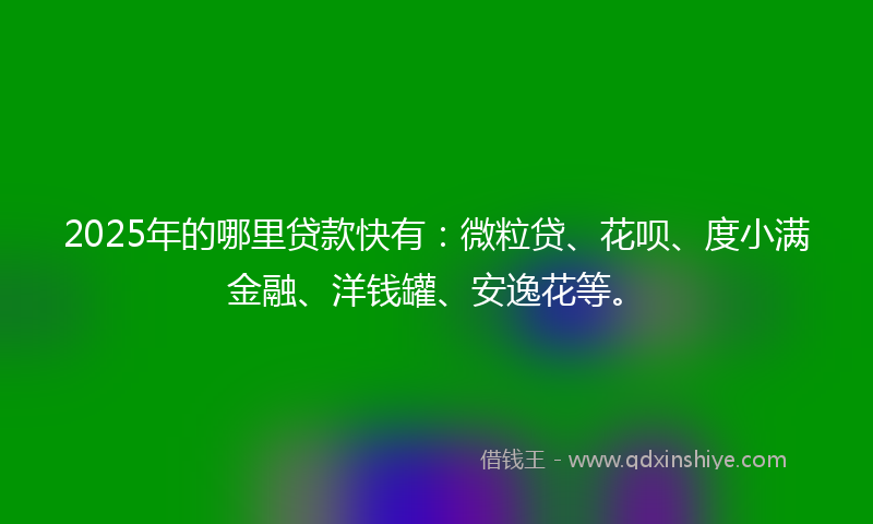 2025年的哪里贷款快有：微粒贷、花呗、度小满金融、洋钱罐、安逸花等。