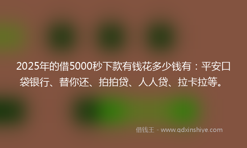 2025年的借5000秒下款有钱花多少钱有：平安口袋银行、替你还、拍拍贷、人人贷、拉卡拉等。