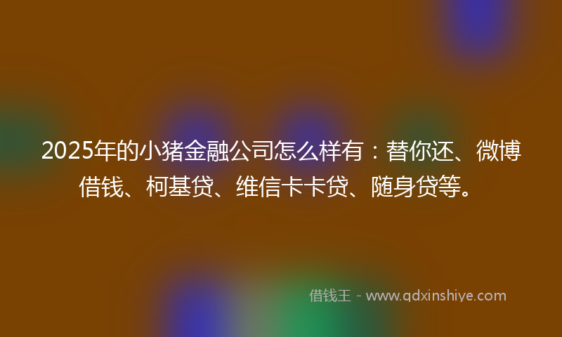 2025年的小猪金融公司怎么样有：替你还、微博借钱、柯基贷、维信卡卡贷、随身贷等。