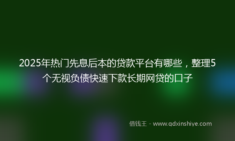 2025年热门先息后本的贷款平台有哪些，整理5个无视负债快速下款长期网贷的口子