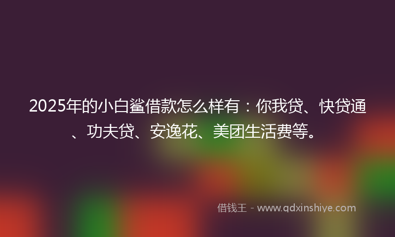 2025年的小白鲨借款怎么样有：你我贷、快贷通、功夫贷、安逸花、美团生活费等。