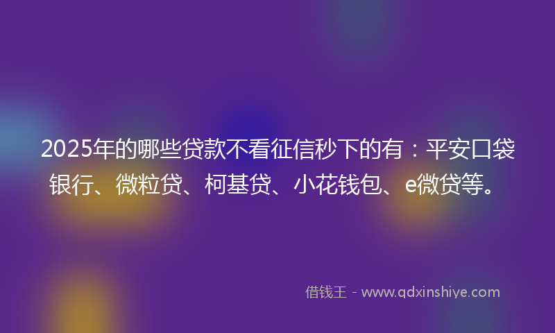 2025年的哪些贷款不看征信秒下的有：平安口袋银行、微粒贷、柯基贷、小花钱包、e微贷等。
