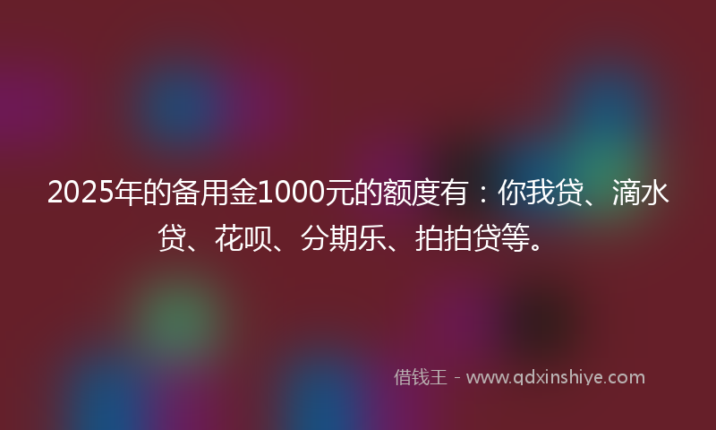 2025年的备用金1000元的额度有：你我贷、滴水贷、花呗、分期乐、拍拍贷等。