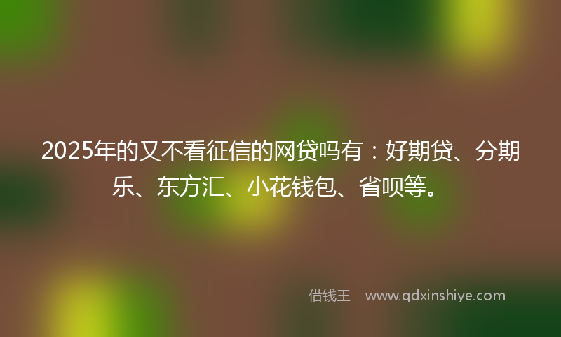 2025年的又不看征信的网贷吗有：好期贷、分期乐、东方汇、小花钱包、省呗等。