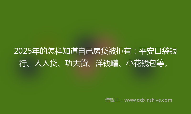 2025年的怎样知道自己房贷被拒有：平安口袋银行、人人贷、功夫贷、洋钱罐、小花钱包等。
