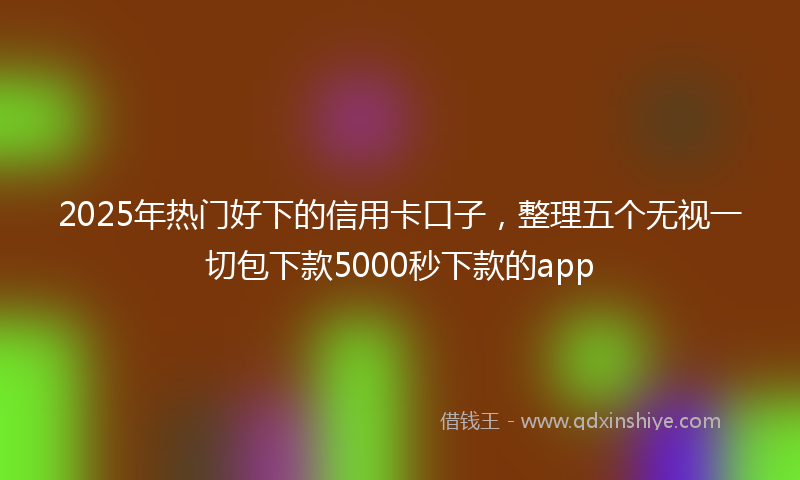 2025年热门好下的信用卡口子，整理五个无视一切包下款5000秒下款的app