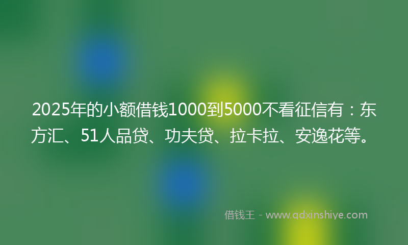 2025年的小额借钱1000到5000不看征信有：东方汇、51人品贷、功夫贷、拉卡拉、安逸花等。