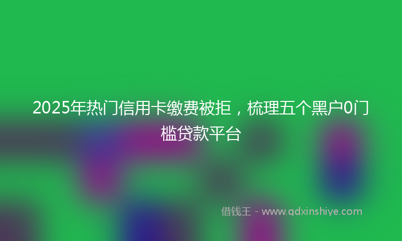 2025年热门信用卡缴费被拒，梳理五个黑户0门槛贷款平台