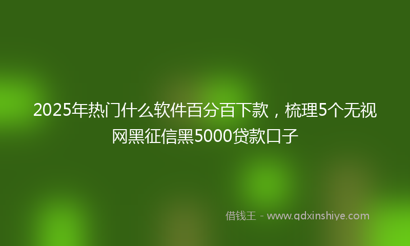 2025年热门什么软件百分百下款，梳理5个无视网黑征信黑5000贷款口子