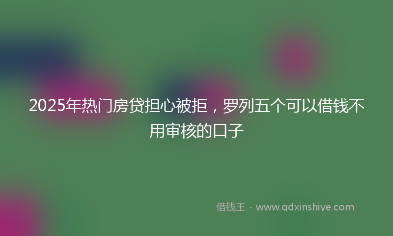 2025年热门房贷担心被拒，罗列五个可以借钱不用审核的口子