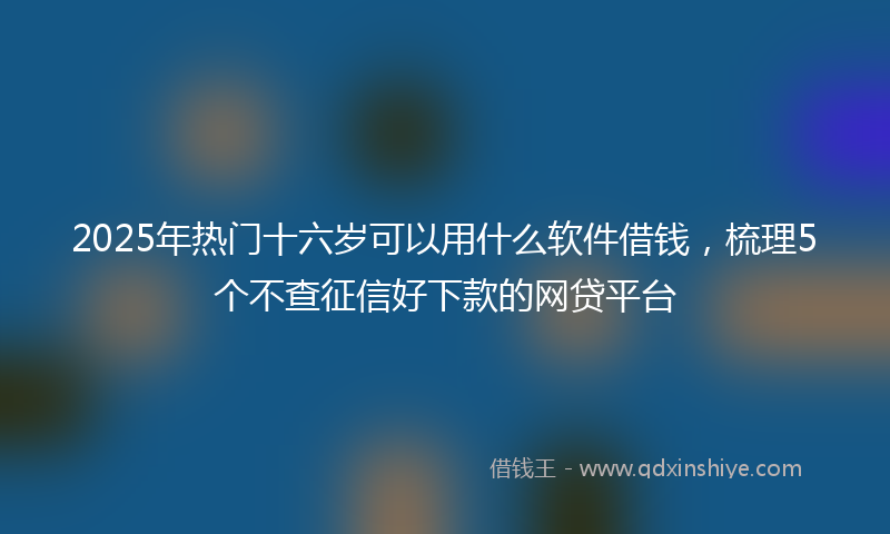 2025年热门十六岁可以用什么软件借钱，梳理5个不查征信好下款的网贷平台