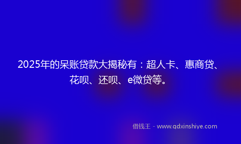2025年的呆账贷款大揭秘有：超人卡、惠商贷、花呗、还呗、e微贷等。