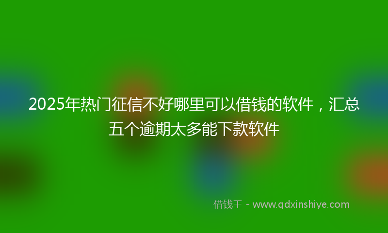 2025年热门征信不好哪里可以借钱的软件，汇总五个逾期太多能下款软件