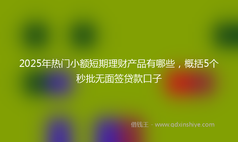 2025年热门小额短期理财产品有哪些，概括5个秒批无面签贷款口子