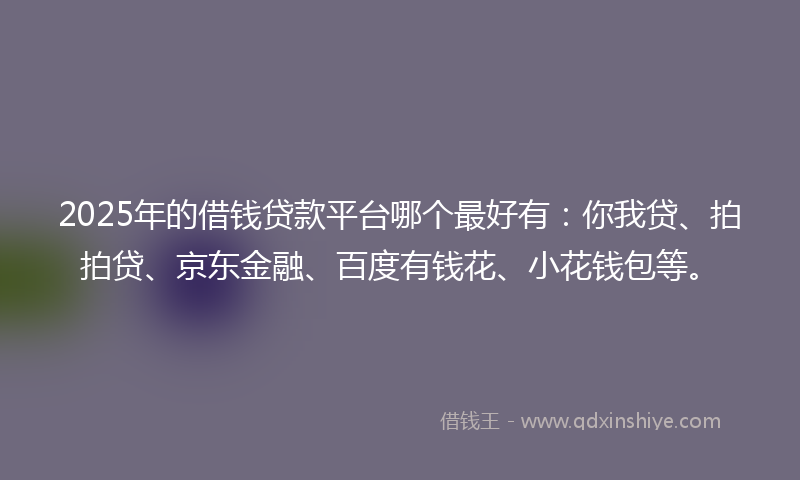 2025年的借钱贷款平台哪个最好有：你我贷、拍拍贷、京东金融、百度有钱花、小花钱包等。