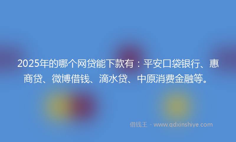 2025年的哪个网贷能下款有：平安口袋银行、惠商贷、微博借钱、滴水贷、中原消费金融等。