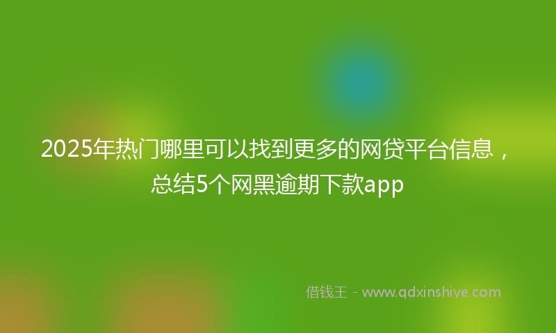 2025年热门哪里可以找到更多的网贷平台信息，总结5个网黑逾期下款app