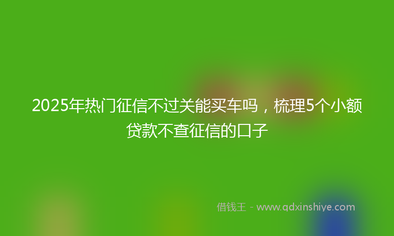 2025年热门征信不过关能买车吗，梳理5个小额贷款不查征信的口子