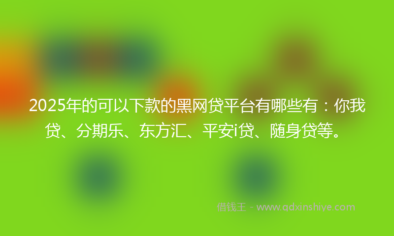 2025年的可以下款的黑网贷平台有哪些有：你我贷、分期乐、东方汇、平安i贷、随身贷等。