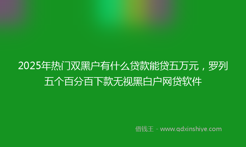 2025年热门双黑户有什么贷款能贷五万元，罗列五个百分百下款无视黑白户网贷软件