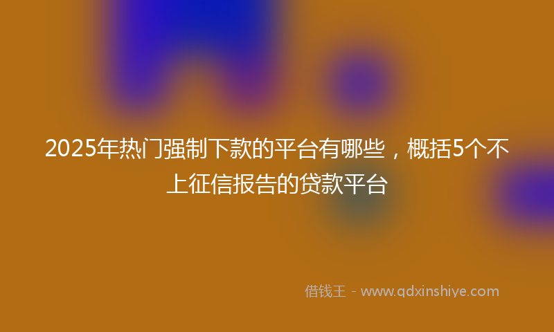 2025年热门强制下款的平台有哪些，概括5个不上征信报告的贷款平台