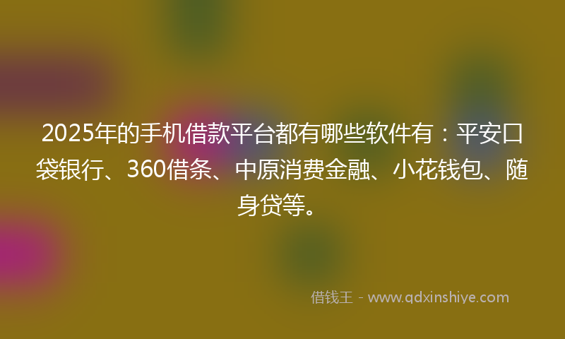 2025年的手机借款平台都有哪些软件有：平安口袋银行、360借条、中原消费金融、小花钱包、随身贷等。