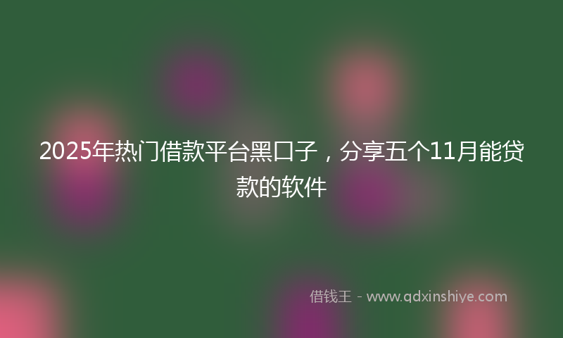 2025年热门借款平台黑口子，分享五个11月能贷款的软件