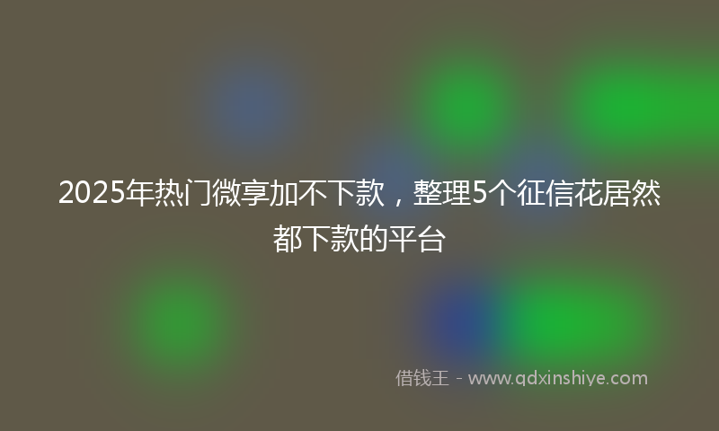 2025年热门微享加不下款，整理5个征信花居然都下款的平台