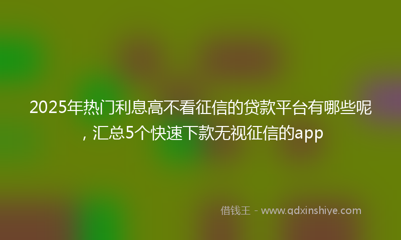 2025年热门利息高不看征信的贷款平台有哪些呢，汇总5个快速下款无视征信的app
