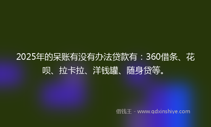 2025年的呆账有没有办法贷款有：360借条、花呗、拉卡拉、洋钱罐、随身贷等。