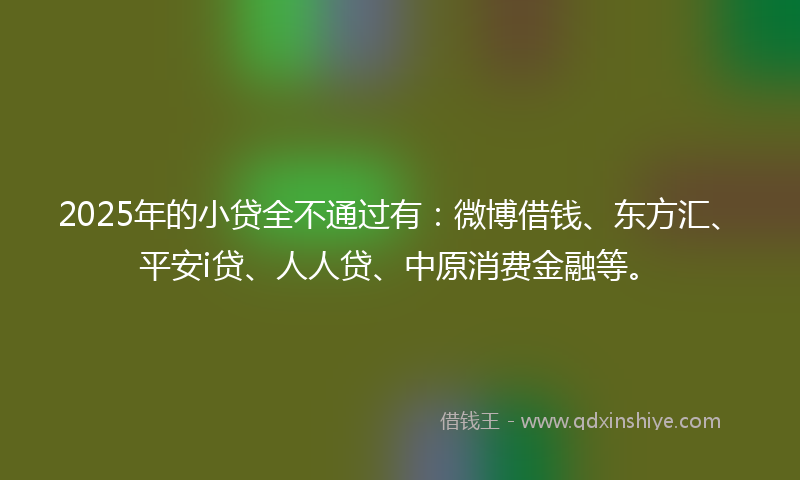 2025年的小贷全不通过有：微博借钱、东方汇、平安i贷、人人贷、中原消费金融等。