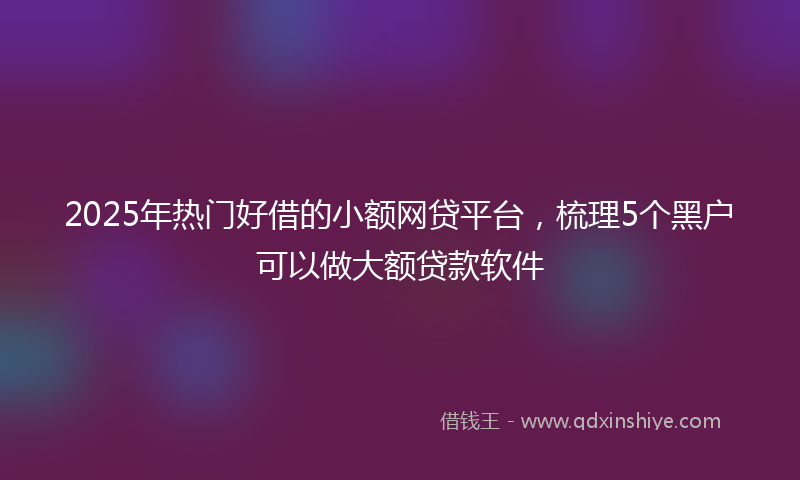 2025年热门好借的小额网贷平台，梳理5个黑户可以做大额贷款软件